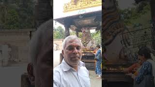 Nandi in Ekambereswara Temple Kancheepuram Tirumala amp Tirupati  Taxi 8374402288 [upl. by Susie]