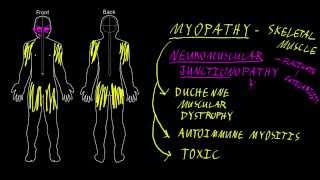 Myopathy and neuromuscular junctionopathy [upl. by Micheil940]