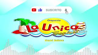 La Unica Tropical  Mix  DJ LULA  Partido En Dos Si Esta Casa Hablara Cual Adios Etc [upl. by Emil]