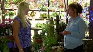 Glad You Asked Willoway Nurseries Part 1  Stanford Home Centers [upl. by Souvaine]