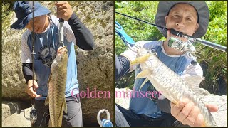 Today I visit at Tami badang Golden mahseer catch by sir zerek fish trapPare river Ap [upl. by Rosenkrantz13]