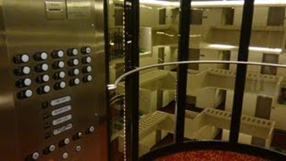 AWESOME amp FAST Otis HighSpeed Elevators at Hyatt Regency in Atlanta GA [upl. by Hahnert]