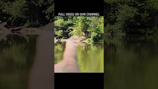 BELOW A HYDRO DAM  View From Down River  subscribe dam river laketime youtubehighfive [upl. by Jabez218]