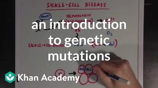 An introduction to genetic mutations  Biomolecules  MCAT  Khan Academy [upl. by Lehcem658]