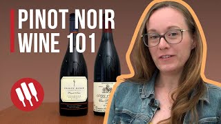 Pinot Noir Everything you need to know  Grapes 101 [upl. by Duck348]