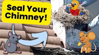 How to Seal your Chimney on a Tile Roof [upl. by Zack499]