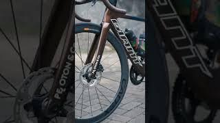 Giant Propel Advanced 2 [upl. by Latsirhc288]