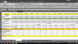 APRENDIENDO EN 10 MINUTOS ELABORAR Y ANALIZAR UN FLUJO CAJA PROYECTADO EN EXCEL PASO A PASO [upl. by Tegirb]