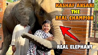 Kashaf Ansari The Real Champion  With Age 100 Year Elephant  KASHAF VLOG [upl. by Yorgos690]