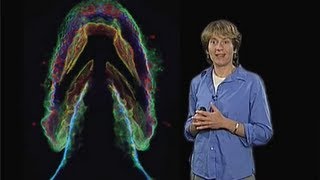 Carolyn Bertozzi UC Berkeley Part 2 Imaging the Glycome [upl. by Lipscomb]