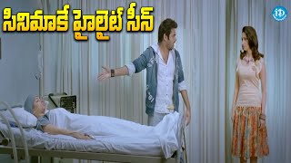 Endukante Premanta Movie Scene  ఈ సీన్ చూస్తే మతిపోతుంది భయ్యా  iDream Eluru [upl. by Ingalls]