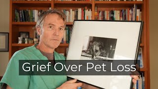 Grief over Pet Loss How to Cope and What Needs to Change [upl. by Calise]