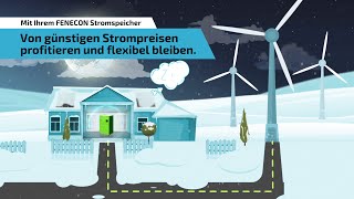 Dynamische Stromtarife  was Sie 2025 wissen müssen  FENECON [upl. by Nylrak]