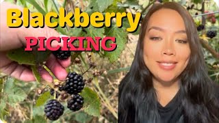 Blackberry Picking Mich amp The Rookies is live [upl. by Ailisec]