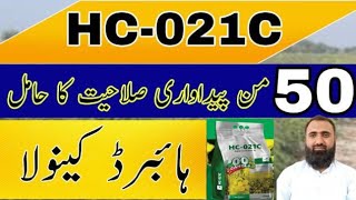 Salient Features of Hybrid Canola HC021C  Subsidy on Hybrid Canola  Bilal Kanju Official [upl. by Nilecoj397]