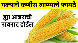 मक्याचे कणीस खाण्याचे फायदे health benefits of corn [upl. by Marj]