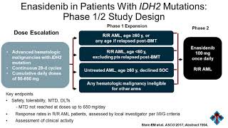 Acute Myeloid Leukemia Navigating Treatment Paradigm Shifts and Disease Heterogeneity [upl. by Namad]