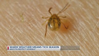 Warm weather means tick season in central Ohio [upl. by Chloette532]