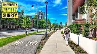 Surrey Walk 🇨🇦  Whalley [upl. by Macdonald]