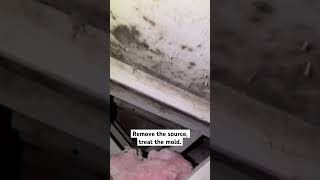 ✅Remove the source of moisture homeinspection [upl. by Mharg]