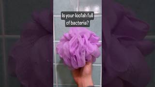 Is your loofah full of bacteria [upl. by Ainecey]