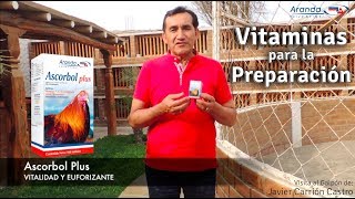 Ascorbol Vitaminas para la Preparación de Gallos de Pelea por Aranda [upl. by Alper589]