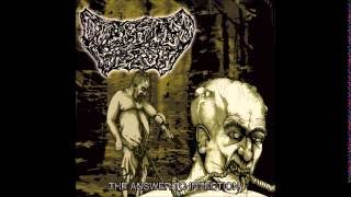 Digested Flesh  The Answer To Infection Full Album [upl. by Meyeroff]