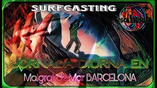 Pesca Surfcasting Diurna  Buscando las grandes Doradas [upl. by Alderman]