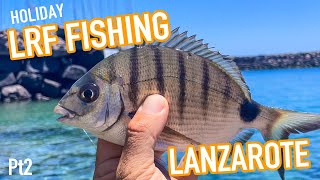 Lanzarote LRF Species Fishing Guide Part 2 [upl. by Briny133]