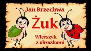 🐞🐞🐞Żuk  Jan Brzechwa  wierszyk bajka animacja dla dzieci [upl. by Nilyahs]