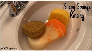 Soapy Sponge RinsingASMRsqueeze [upl. by Auohp]