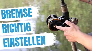 ► Bremse einstellen leichtgemacht  Bremse einstellen Anleitung  Dudis 101 [upl. by Rimaj]