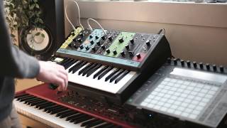 Exploring the Moog Grandmother on a rainy day [upl. by Aitekram]