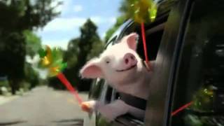 GEICO Pig Commercial Dubbed [upl. by Bourke]