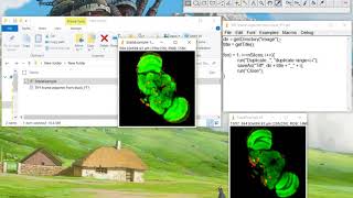 ImageJ Tutorial How to export a stack frame by frame [upl. by Sharlene]