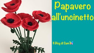 Spiegazione del Papavero alluncinetto [upl. by Enaile]