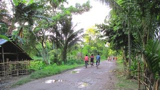 Assamese Village Life অসমীয়া গাও  Assam  India [upl. by Neila]