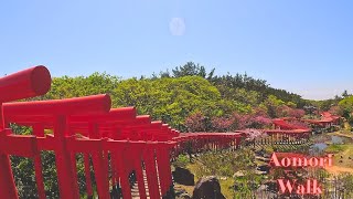 Senbon Tori Takayamainari Aomori walk tour 【4K】52024 [upl. by Eimak]