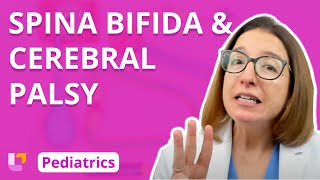 Spina Bifida Cerebral Palsy  Pediatric Nursing  Nervous System Disorders  LevelUpRN [upl. by Rodrigo360]