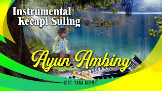 Endang Sukandar  Sundanese Instrumental Kacapi Suling  Ayun Ambing [upl. by Ahcila940]