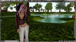 Firestorm Tutorial  Custom Prim Params [upl. by Azirb]