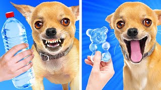 Diy animais fofos com limpador de cachimbo  Amazinh animals with Pipe Cleaner [upl. by Sairahcaz]