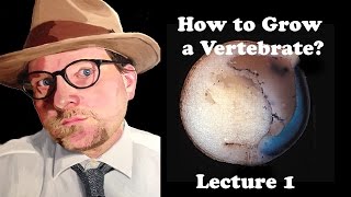 Lecture 1 How to Grow a Vertebrate [upl. by Atneciv]