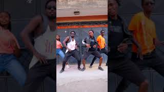 Kizz Daniel  LIE Official Dance Challenge  Roy Demore Choreography [upl. by Geirk28]