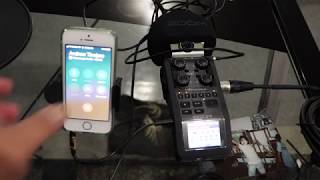 Super Simple  Zoom H6 Podcast setup for phone calls without a mixer [upl. by Artur]