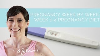 2 Weeks Pregnant  Tips for a Healthy Pregnancy Diet [upl. by Kimball]