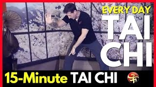 Tai Chi for Back Pain  Every Day Tai Chi  Learn Tai Chi at Home [upl. by Harts]