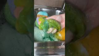 PT 23  SUDSY SPONGE OVERLOAD SQUEEZING  PASTE  PINALEN  AJAX  DETERGENT  COMET  CLEANTOK [upl. by Airdnax]