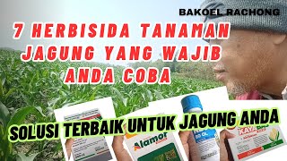 7 Herbisida Tanaman Jagung yang Wajib Anda Coba Solusi Terbaik untuk Jagung Anda [upl. by Schwartz]