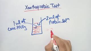 Xanthoproteic Test [upl. by Moynahan]